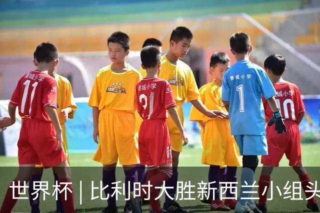世界杯 | 比利时大胜新西兰小组头名出线