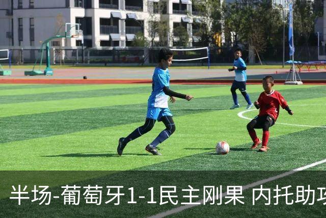 半场-葡萄牙1-1民主刚果 内托助攻若昂·内维斯破门维萨补时扳平